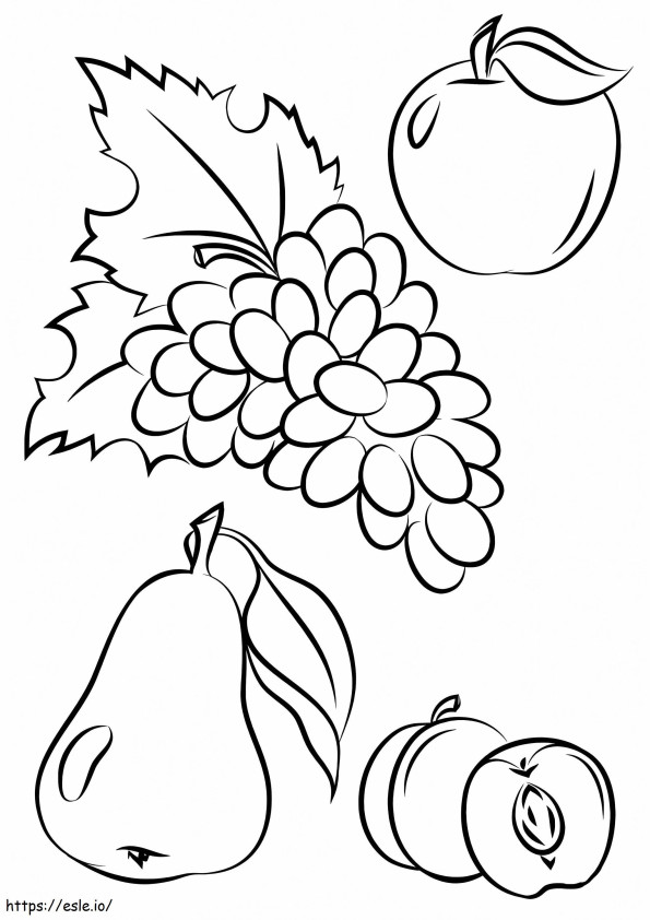 Autumn Fruits coloring page