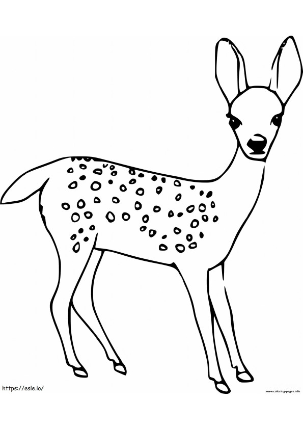 Lovely Deer coloring page