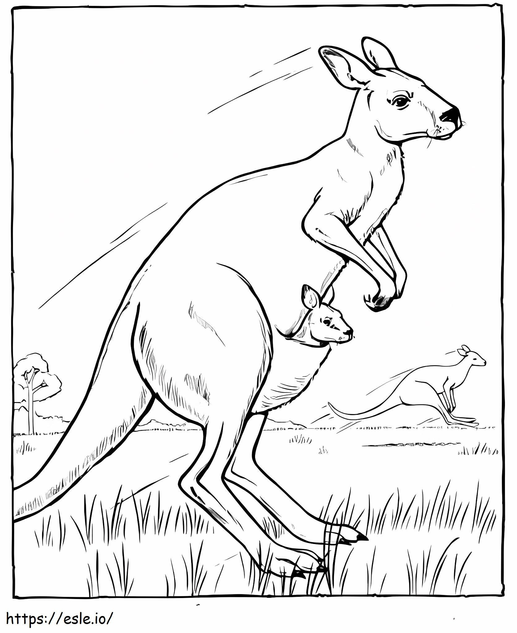 Trei canguri în Australia de colorat