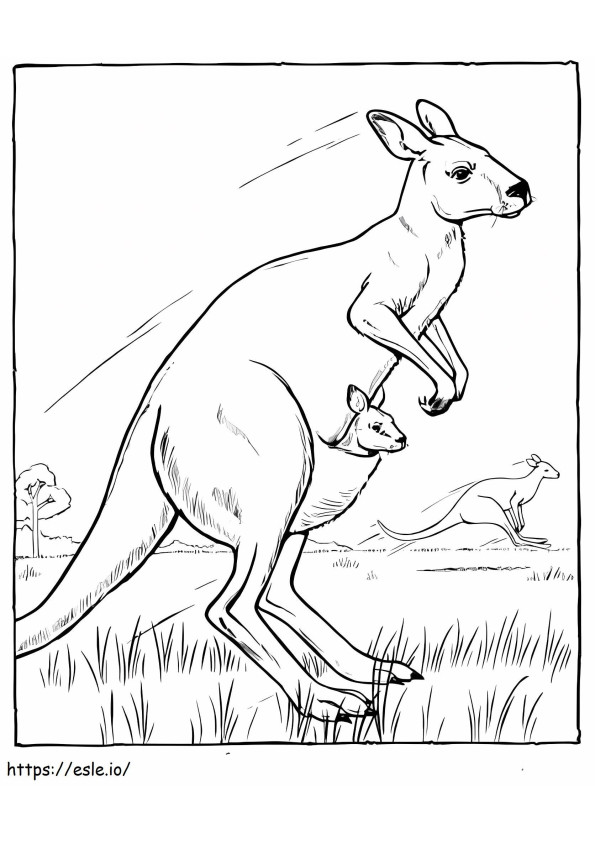 Tres canguros en Australia para colorear