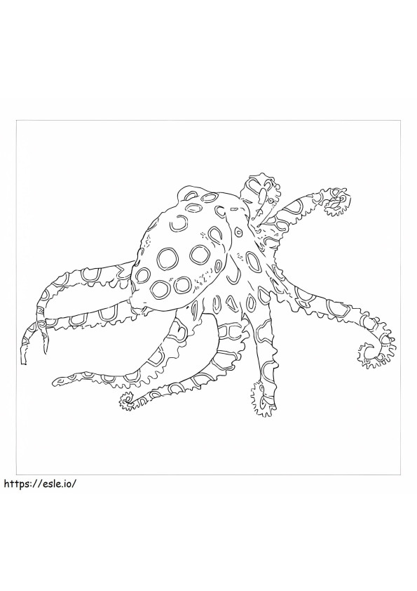 Blue Ring Octopus coloring page