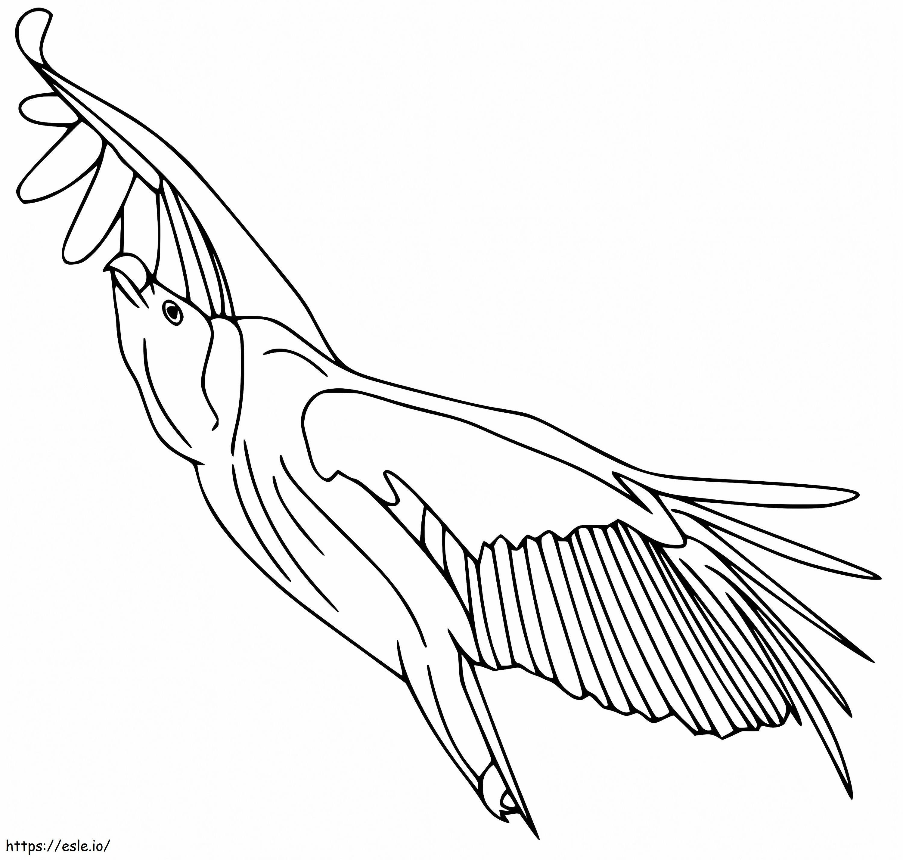 Vultur Zburător de colorat