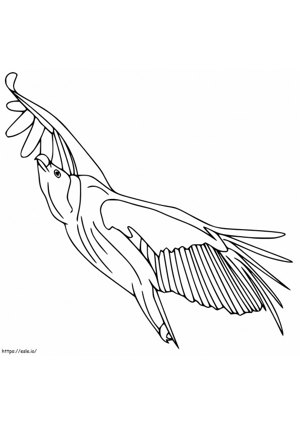 Avvoltoio volante da colorare