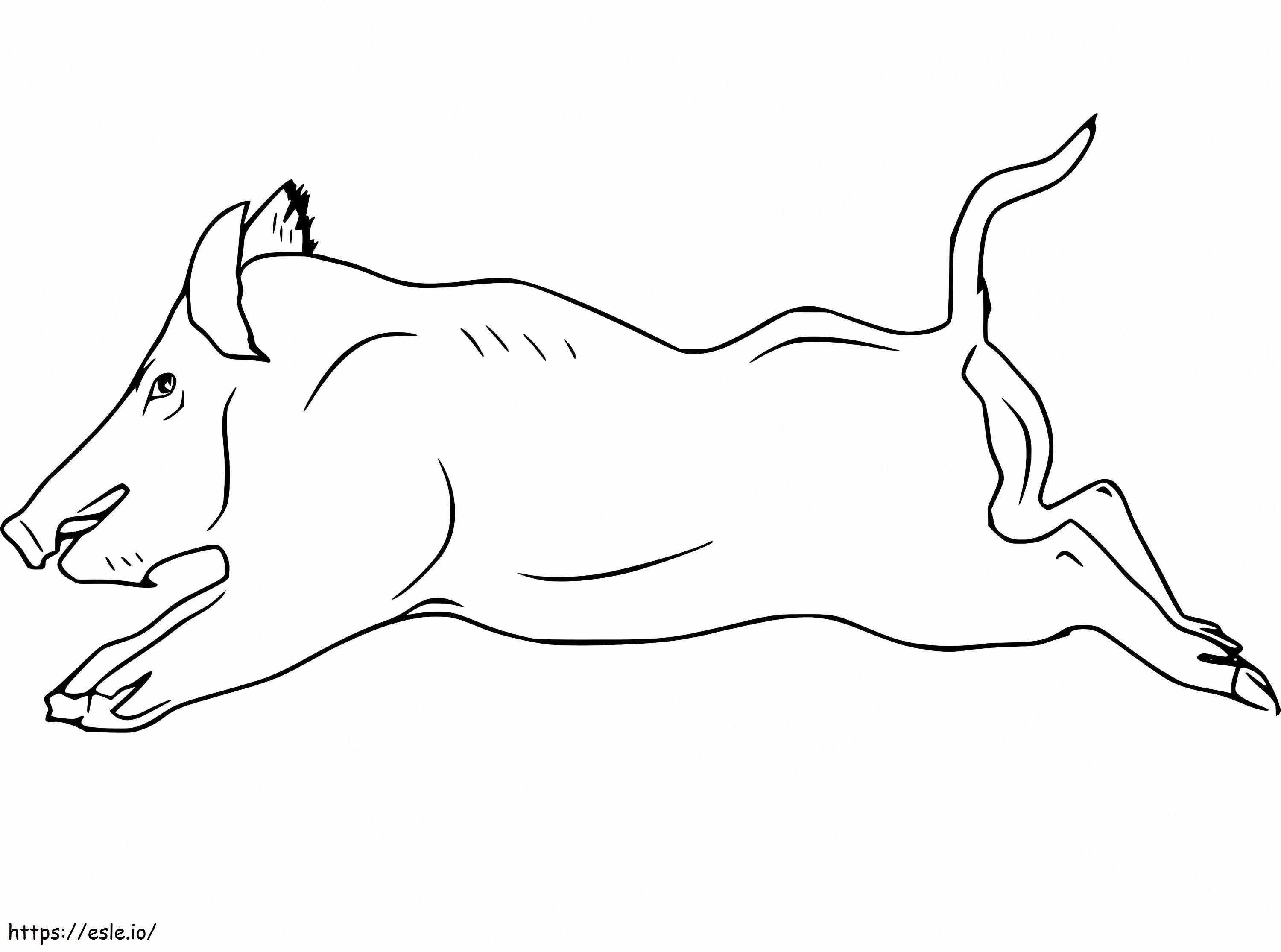 Wild Boar Basic Race coloring page