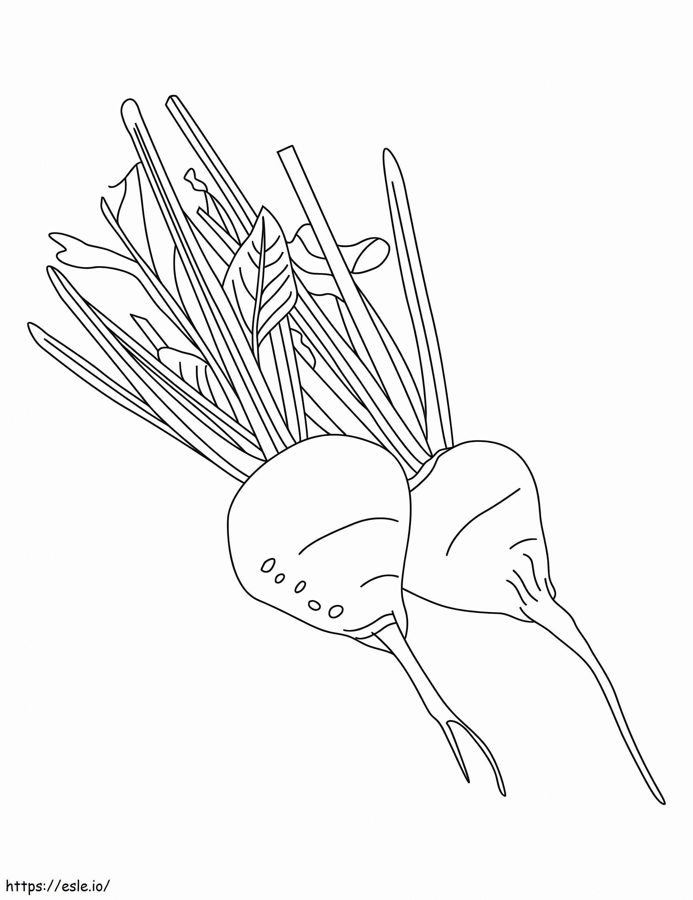 Two Beetroots coloring page