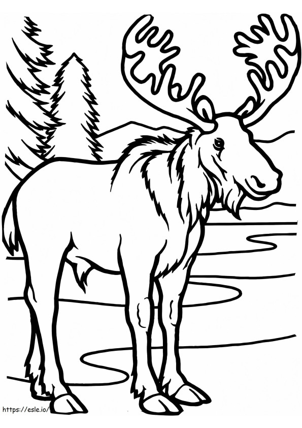 Normal Moose coloring page