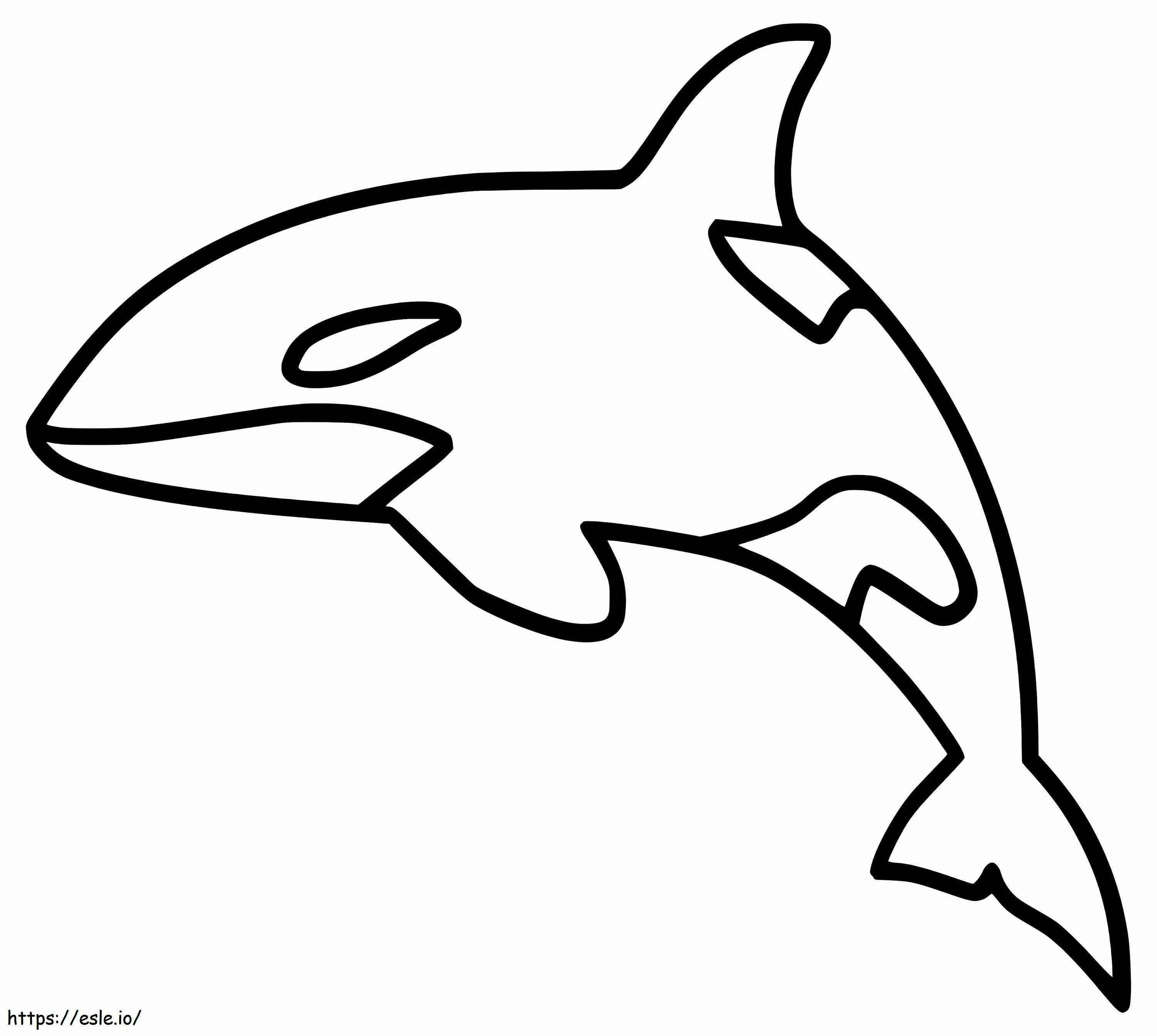 Simple Killer Whale coloring page