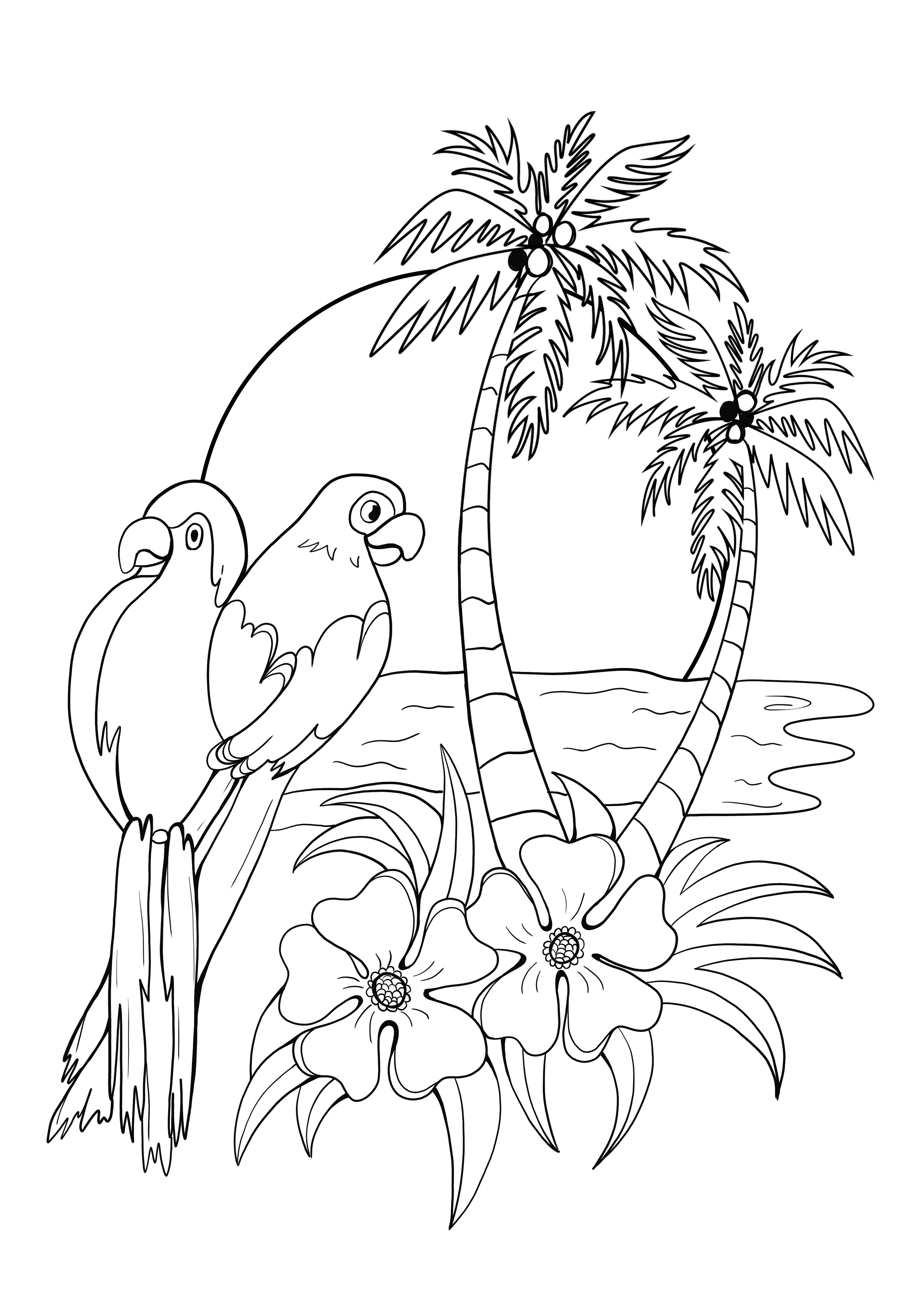 burung beo lucu dan pohon palem di musim panas mencetak halaman gratis
