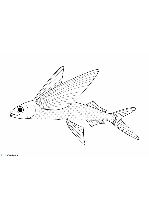 Flying Fish coloring page