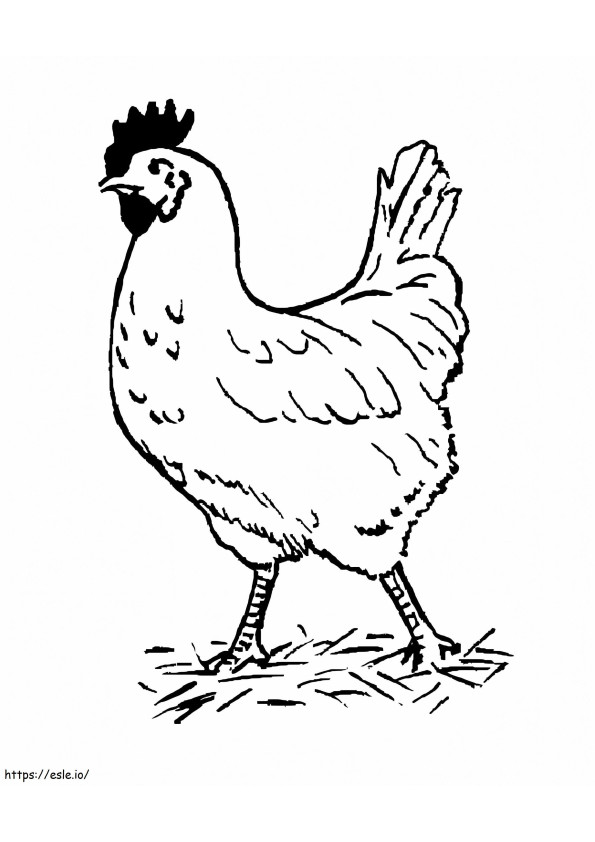 Chicken Printable coloring page