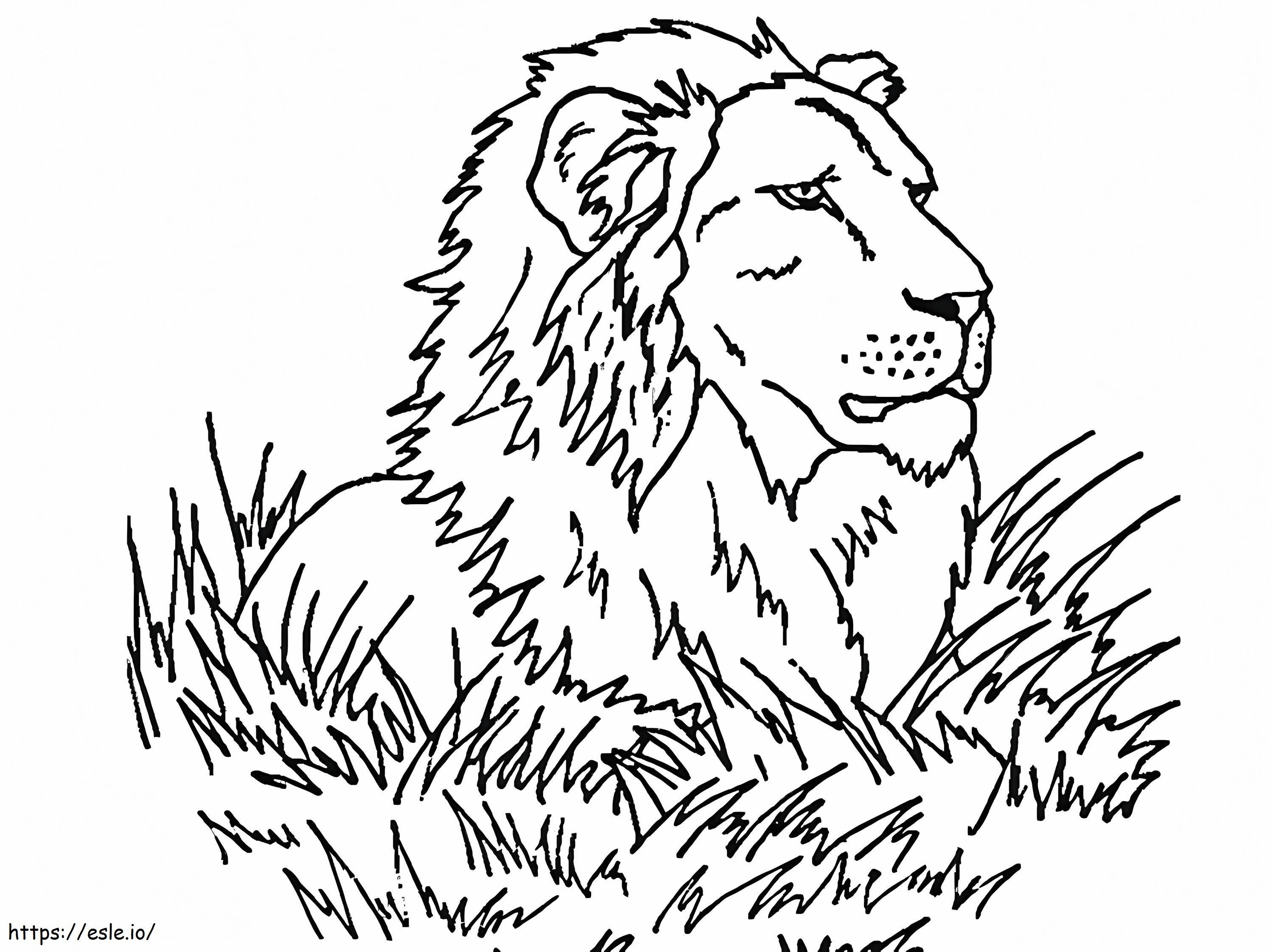 Leão na grama para colorir