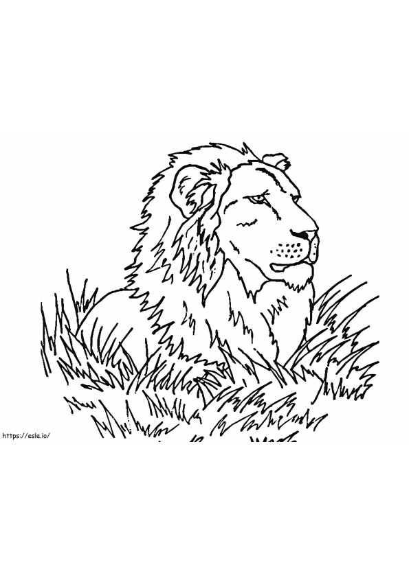 León sobre hierba para colorear