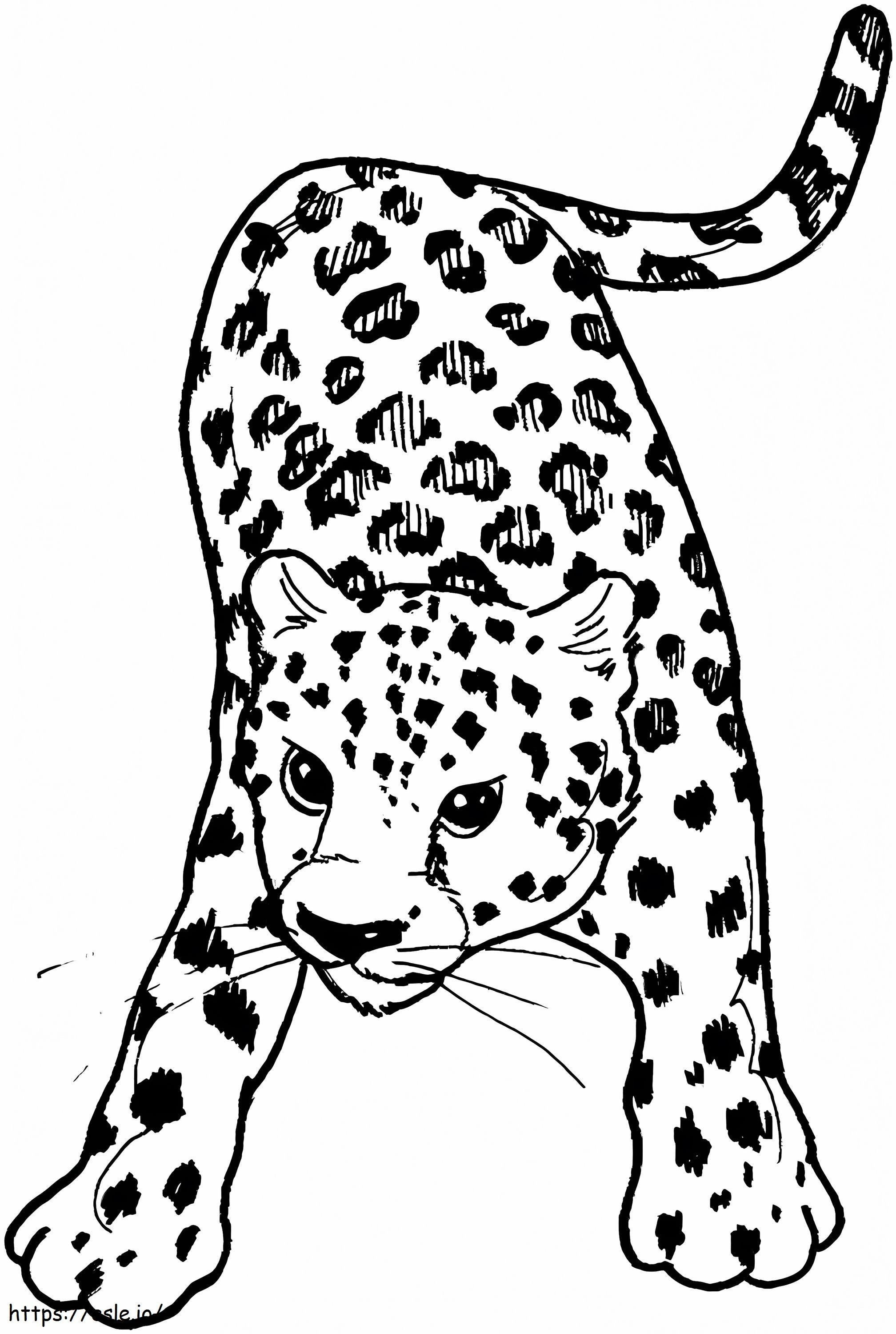 Leopardo 6 688X1024 para colorear