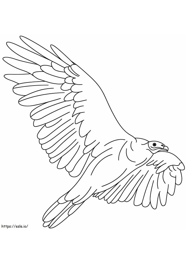 Vaikuttava Condor värityskuva