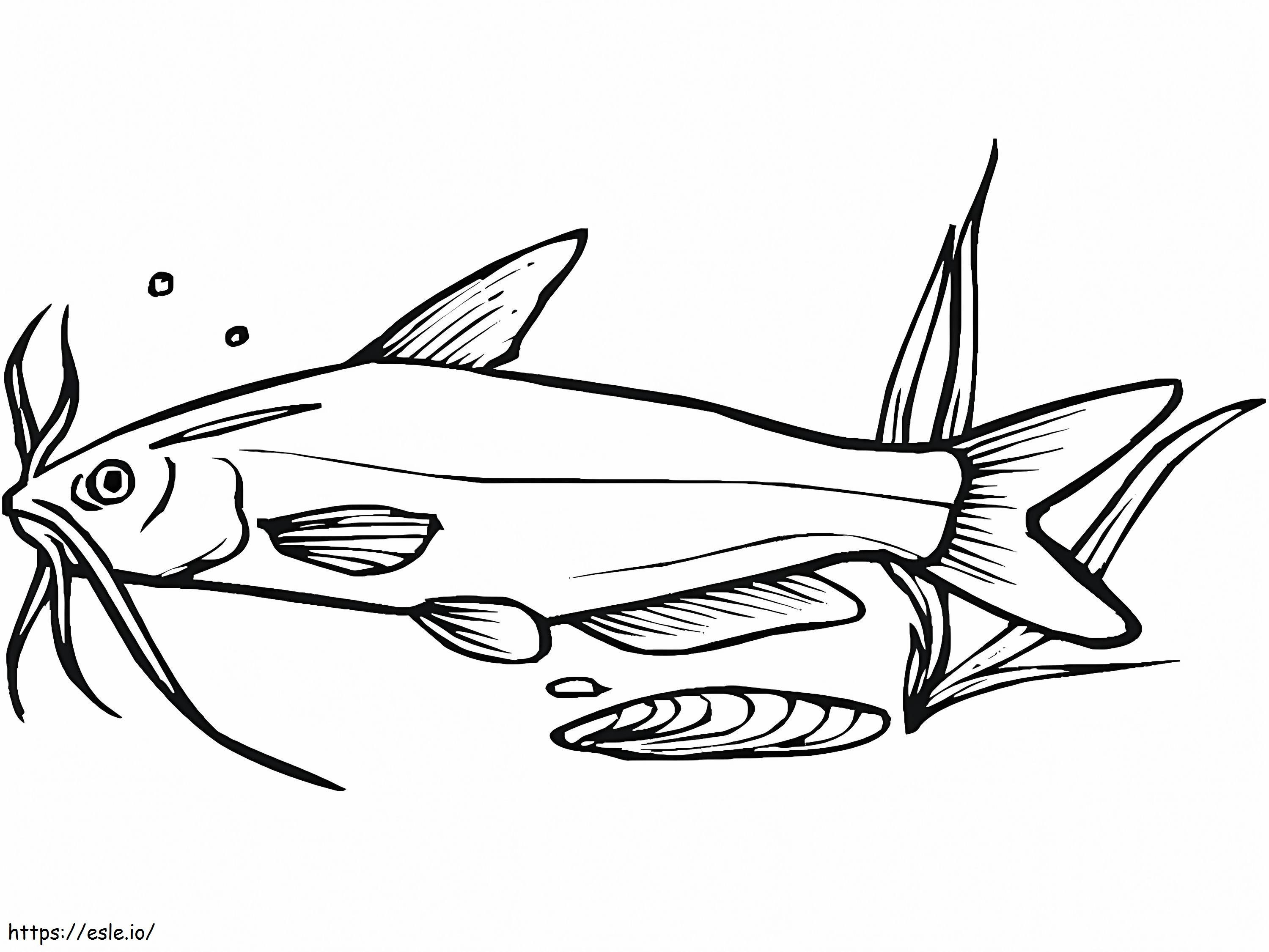 Catfish Swimming coloring page