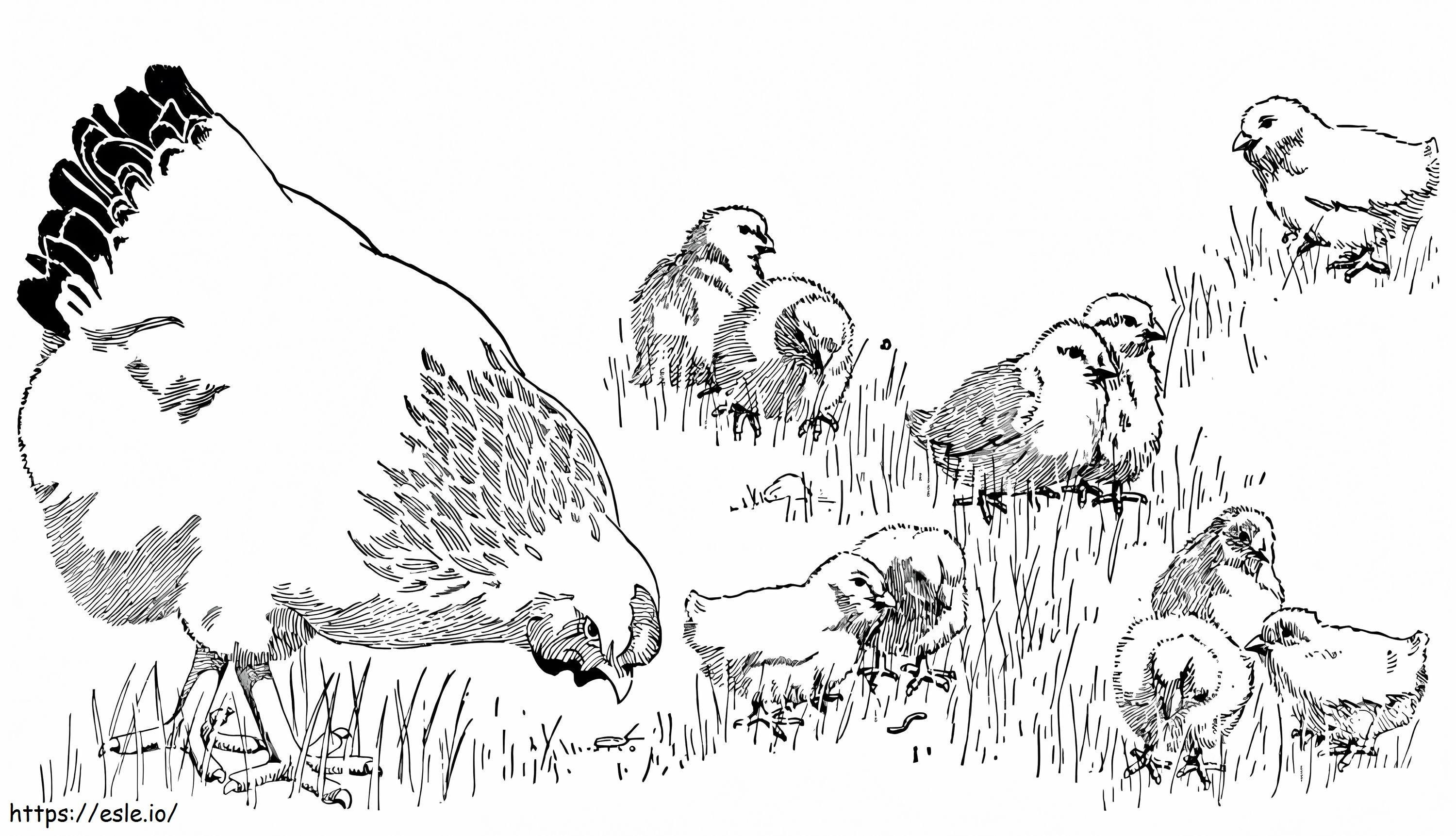 Mother Hen With Chicks coloring page