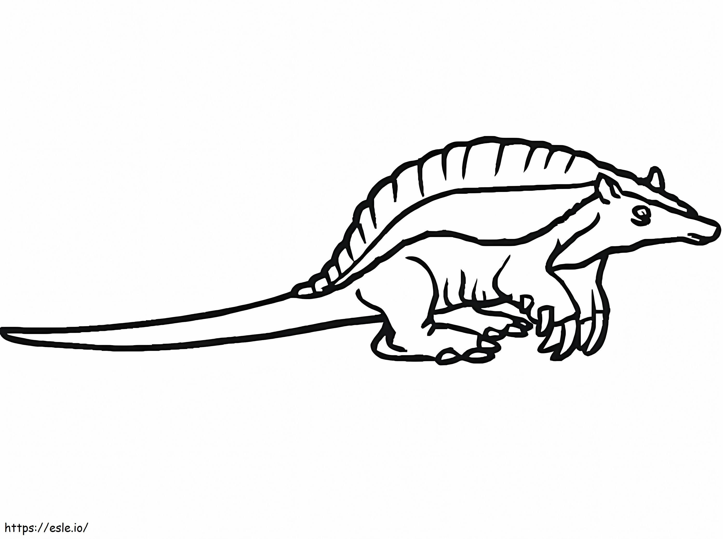 Little Armadillo coloring page