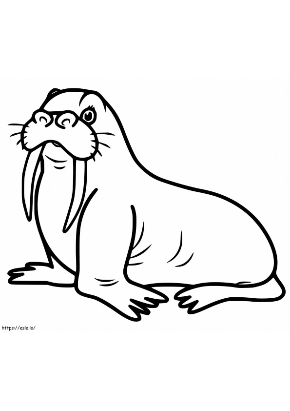 Walrus 13 coloring page