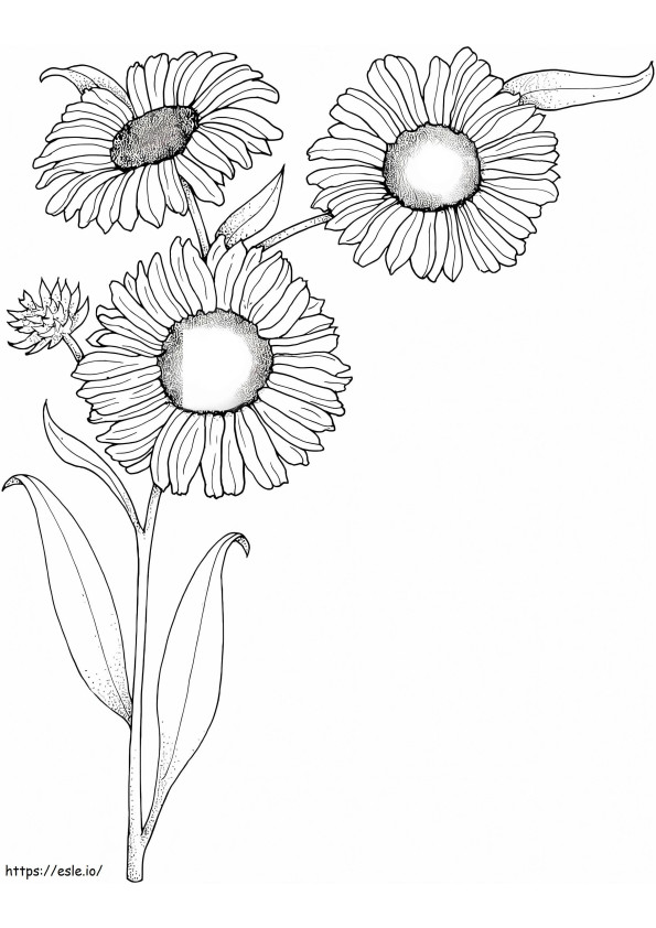 Sunflowers To Print coloring page