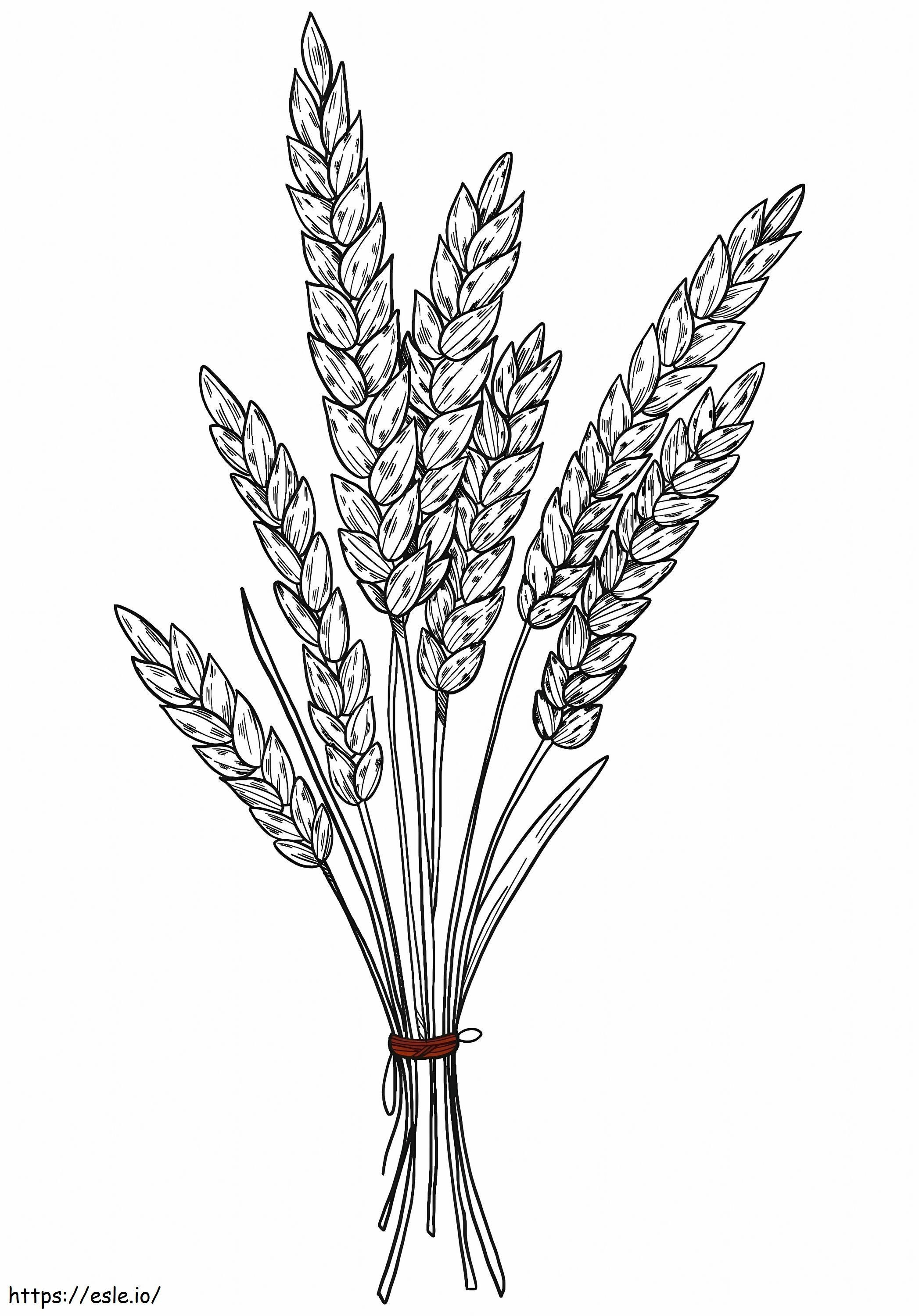Awesome Wheat coloring page