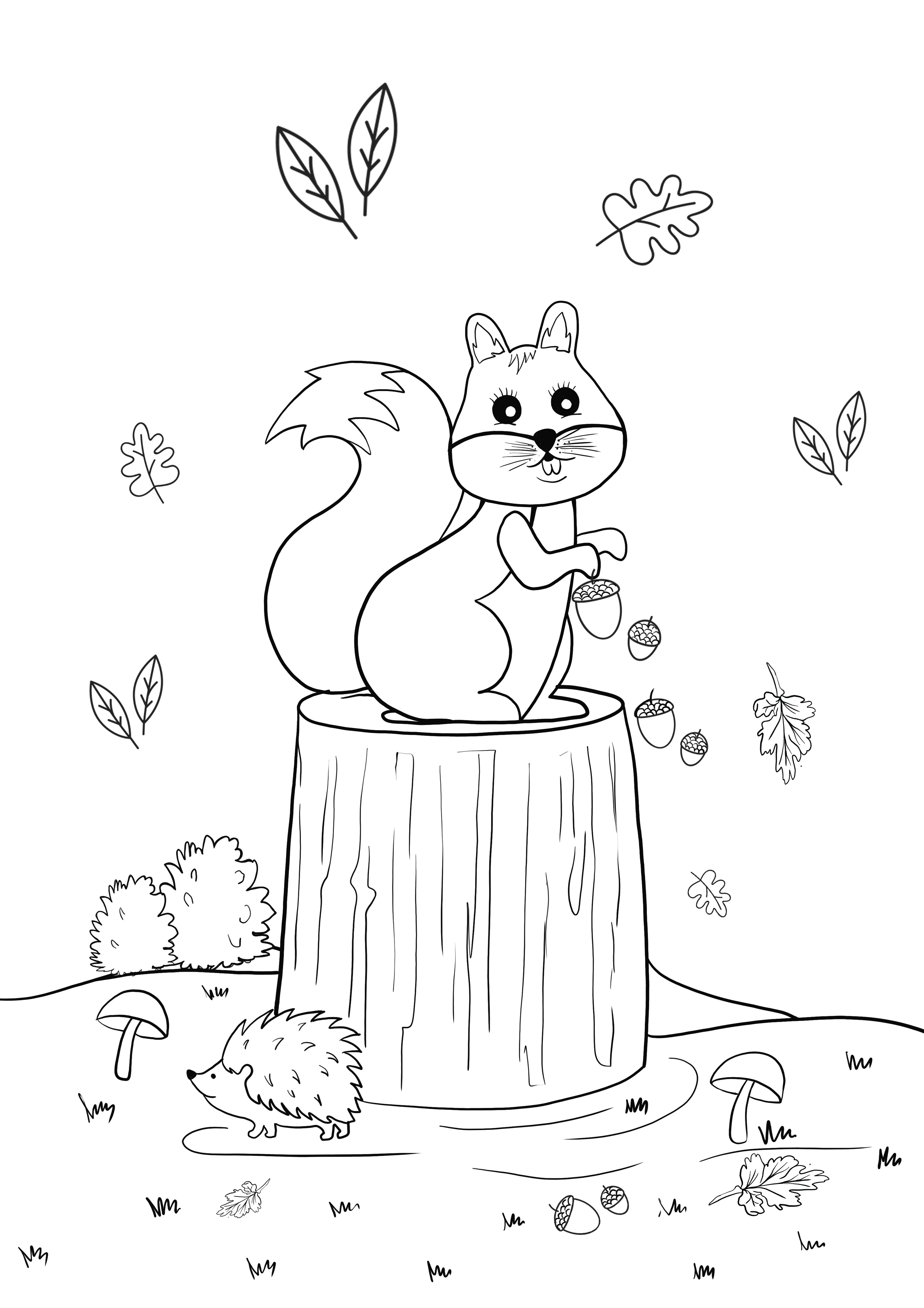 squirrel on a log coloring and printing for free