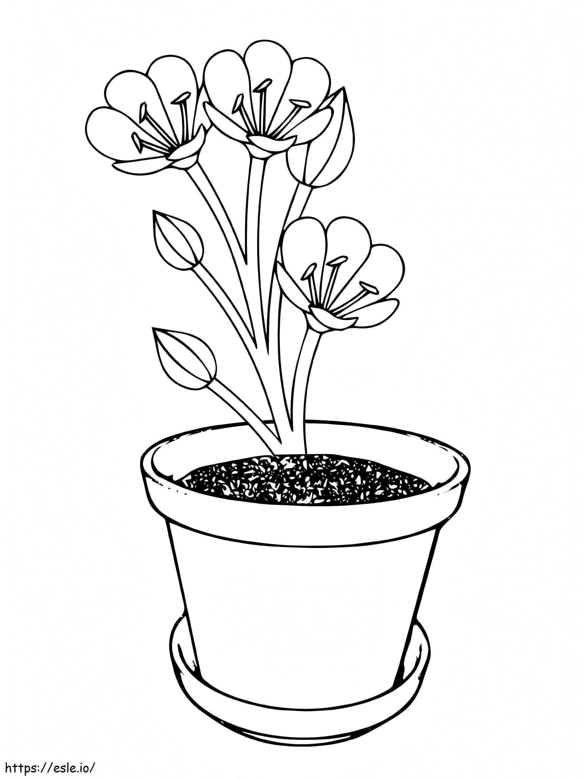 Vaso de flor de açafrão fácil para colorir
