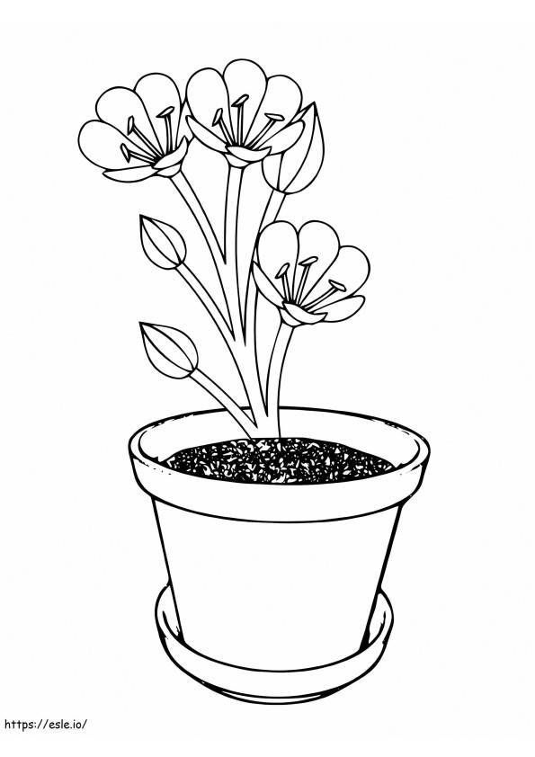 Easy Crocus Flower Vase coloring page