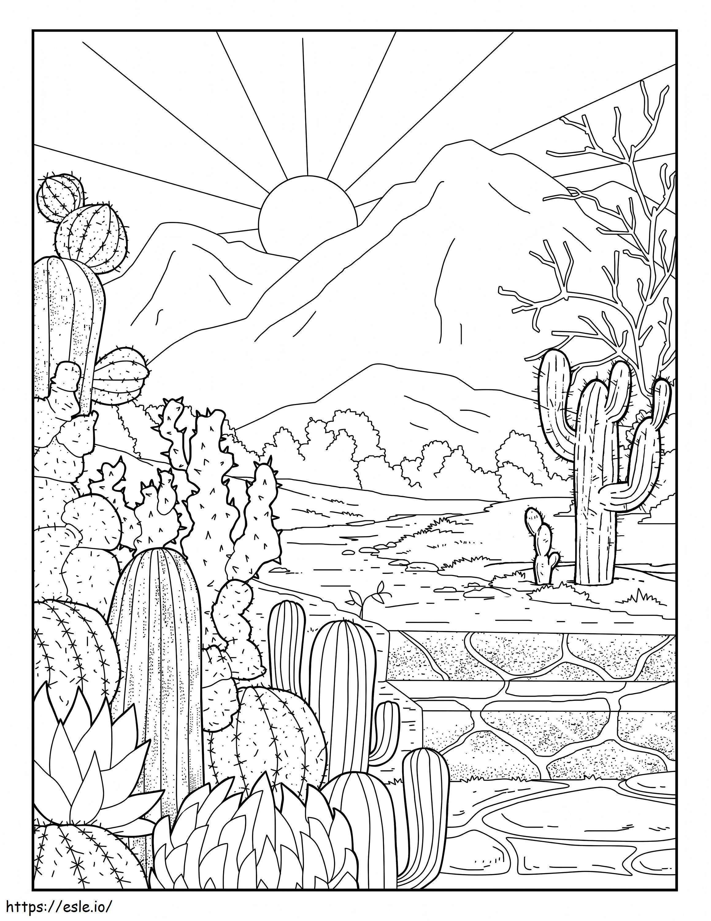 Giardino E Sole Del Cactus da colorare