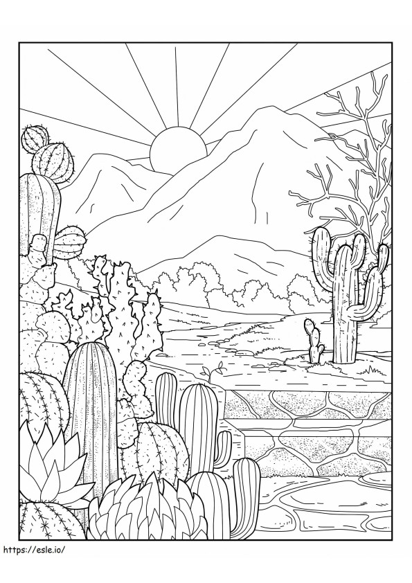 Giardino E Sole Del Cactus da colorare