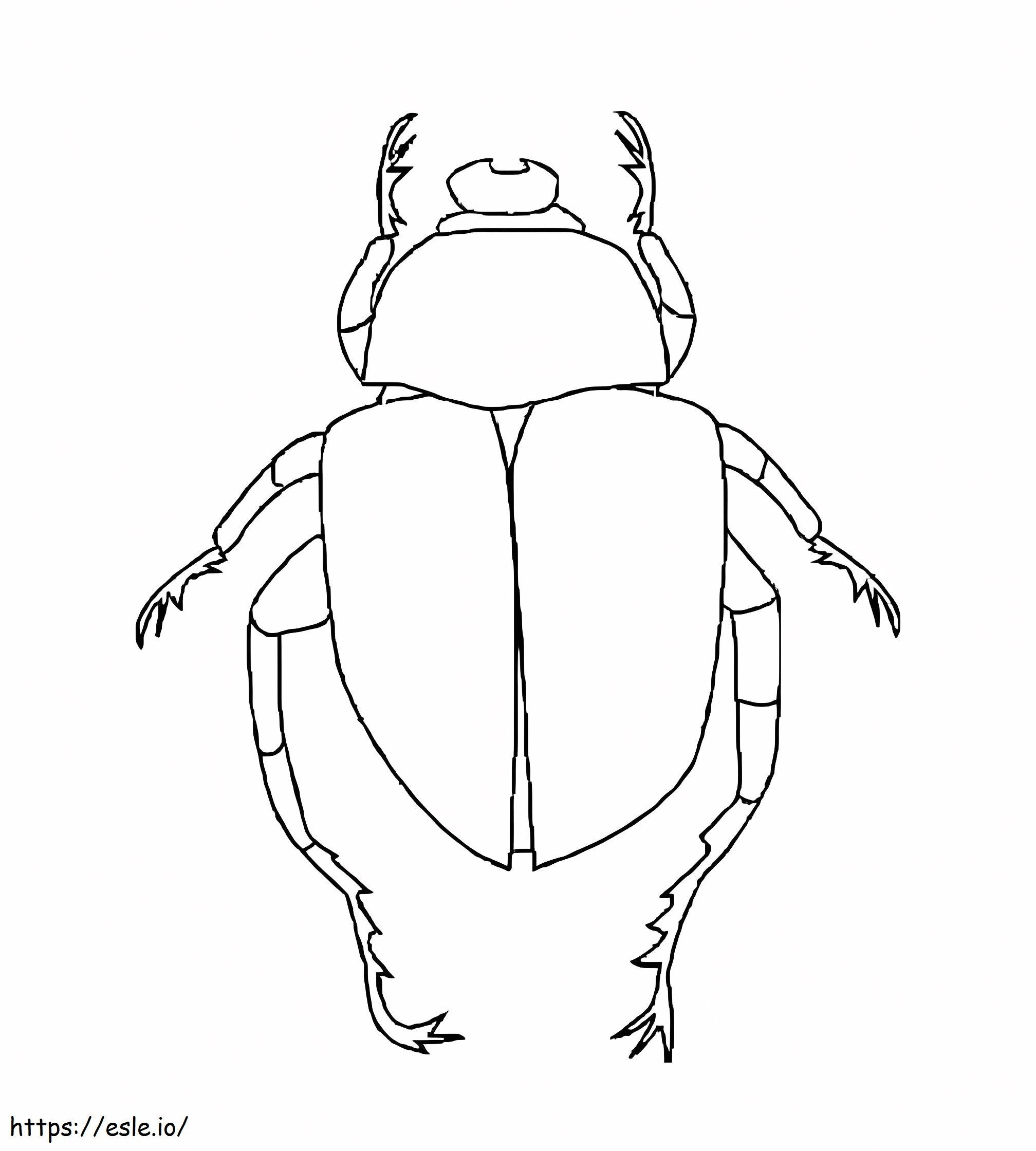 Kumbang Kumbang Gambar Mewarnai