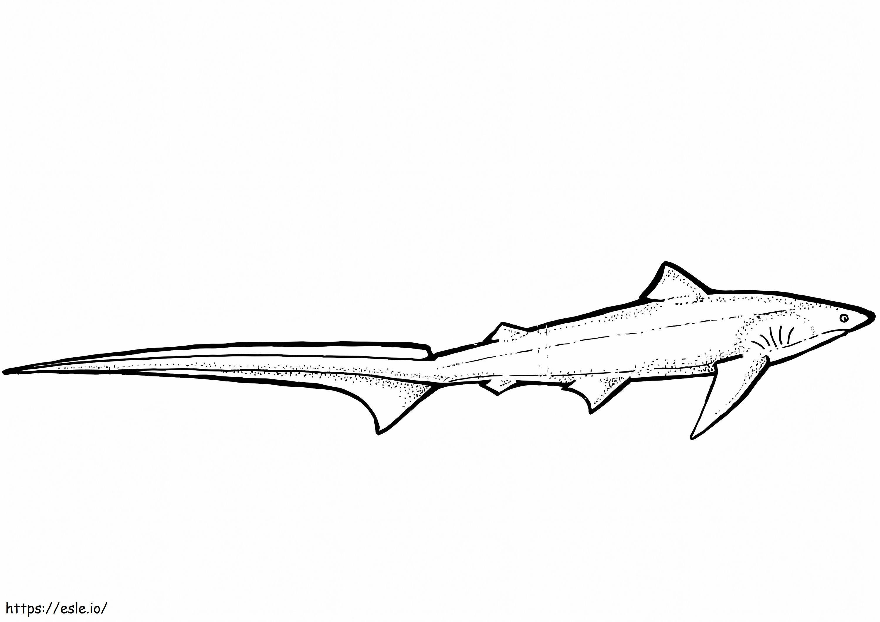 Coloriage Requin renard à imprimer dessin
