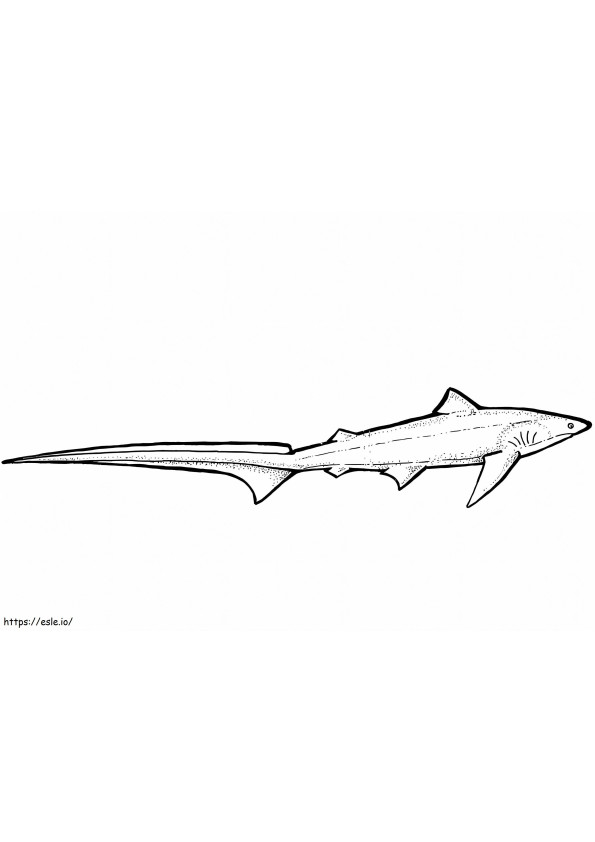 Dorser Haai kleurplaat
