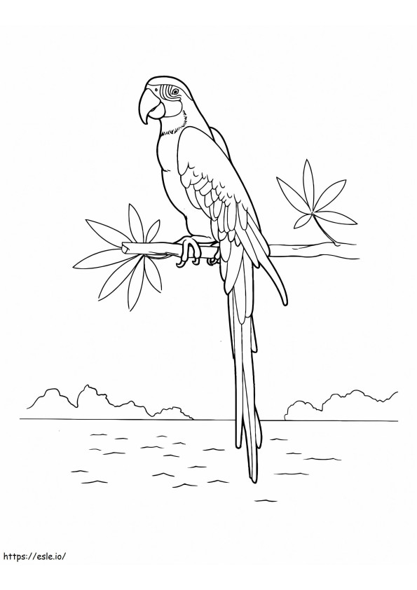 Macaw Perched On Top Of A Tree Near The River Bank coloring page