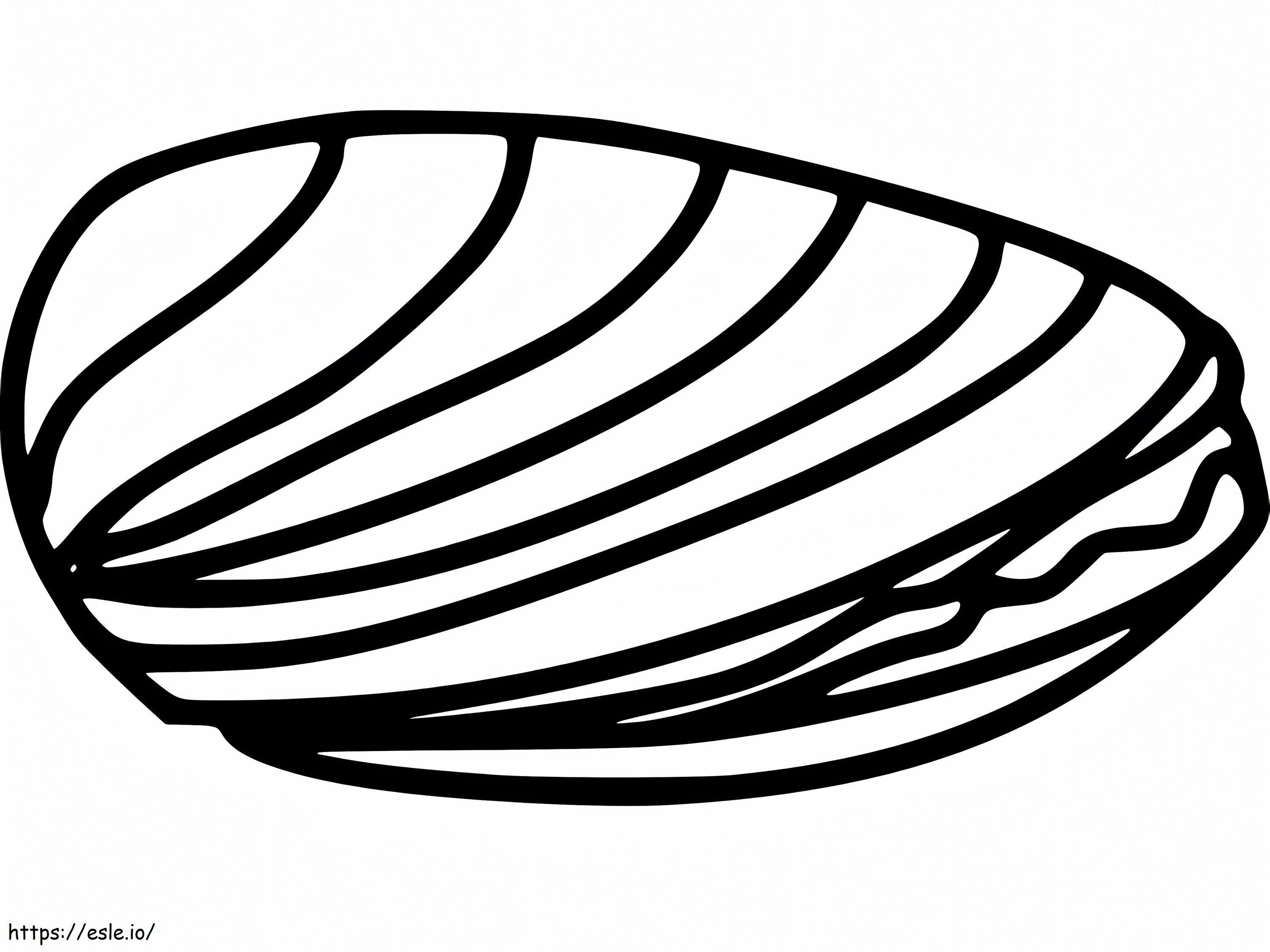 Egyszerű kagyló kifestő