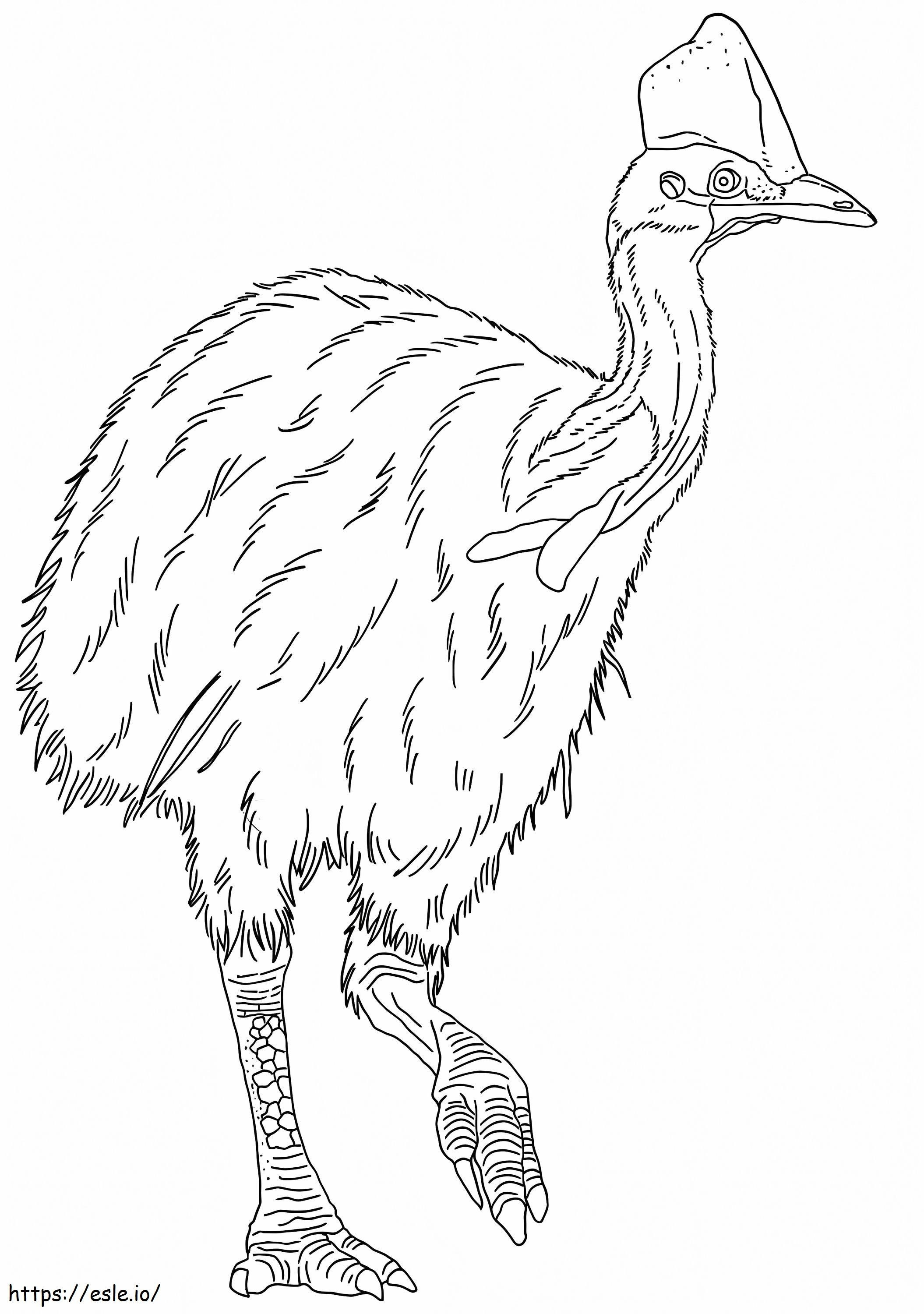 Cassowary 4 coloring page