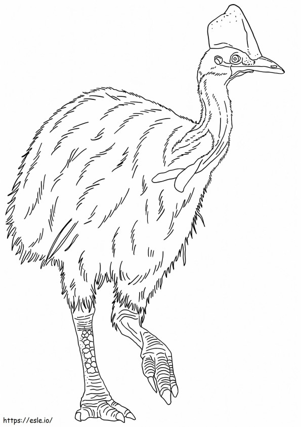 Cassowary 4 coloring page