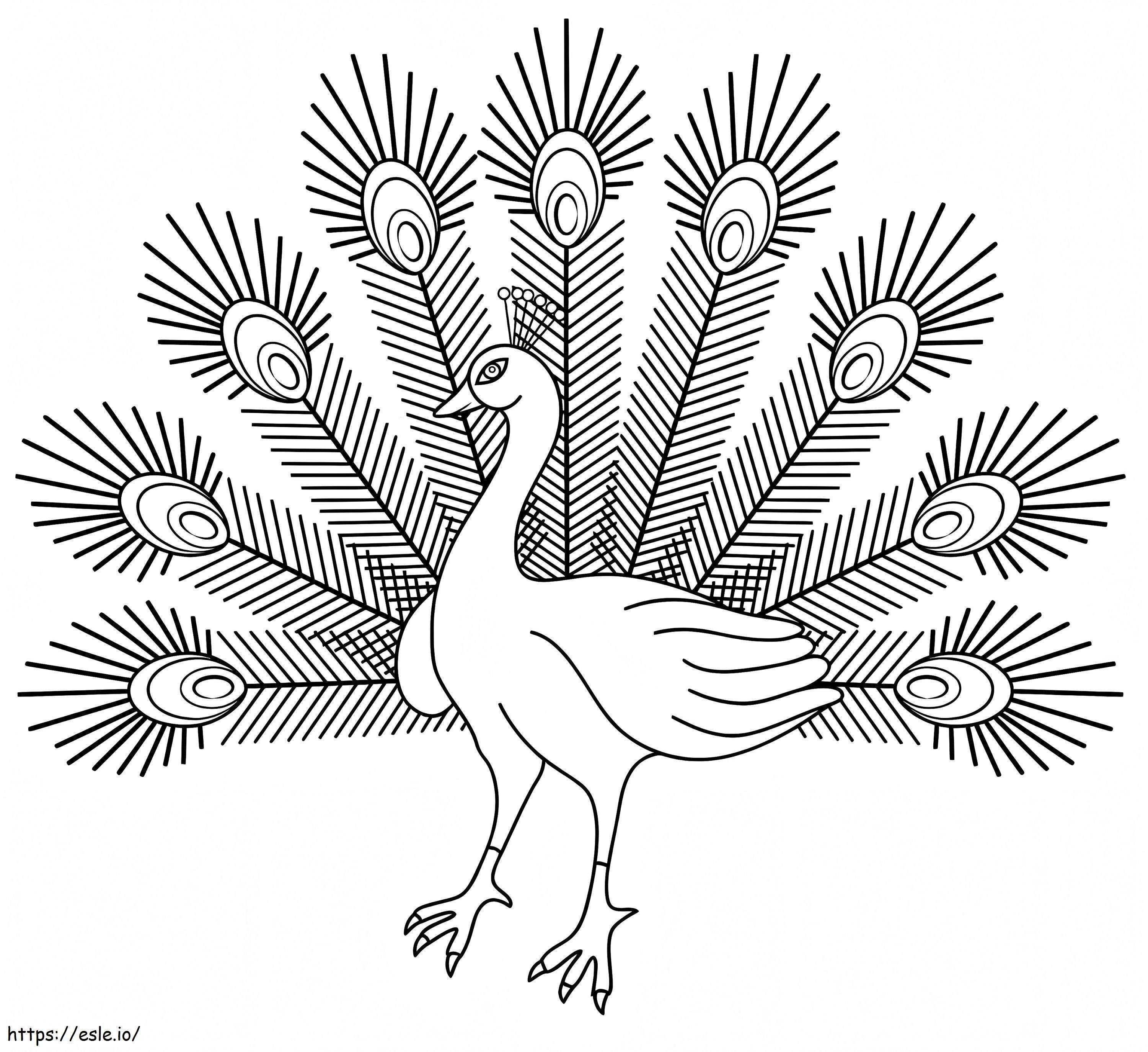 Free Peacock coloring page