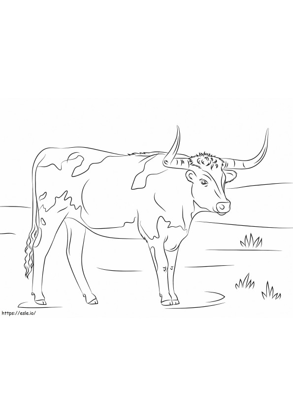 Longhorn koe kleurplaat