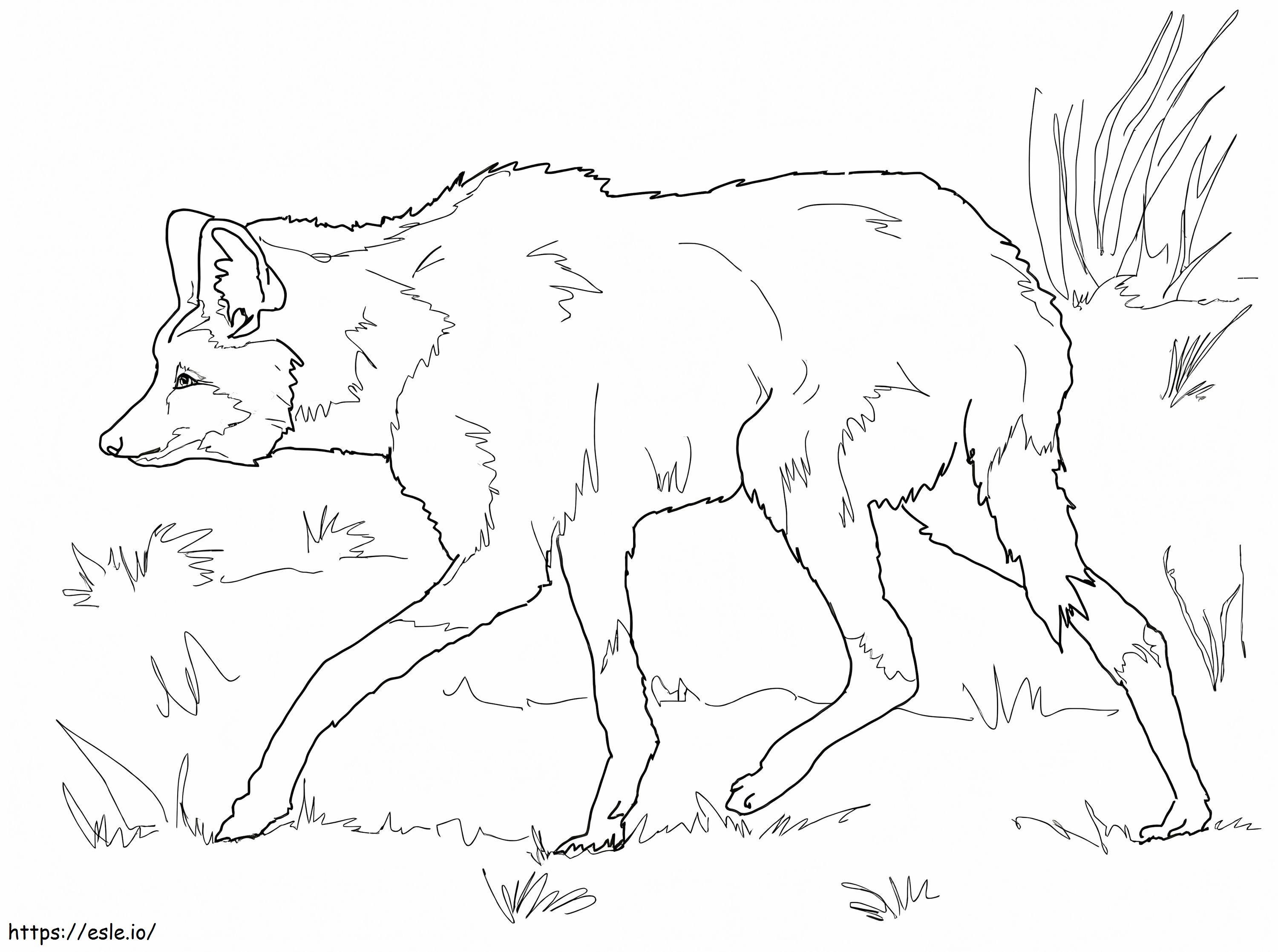 Sudamerikanischer Mähnenwolf Ausmalbild zum Ausdrucken