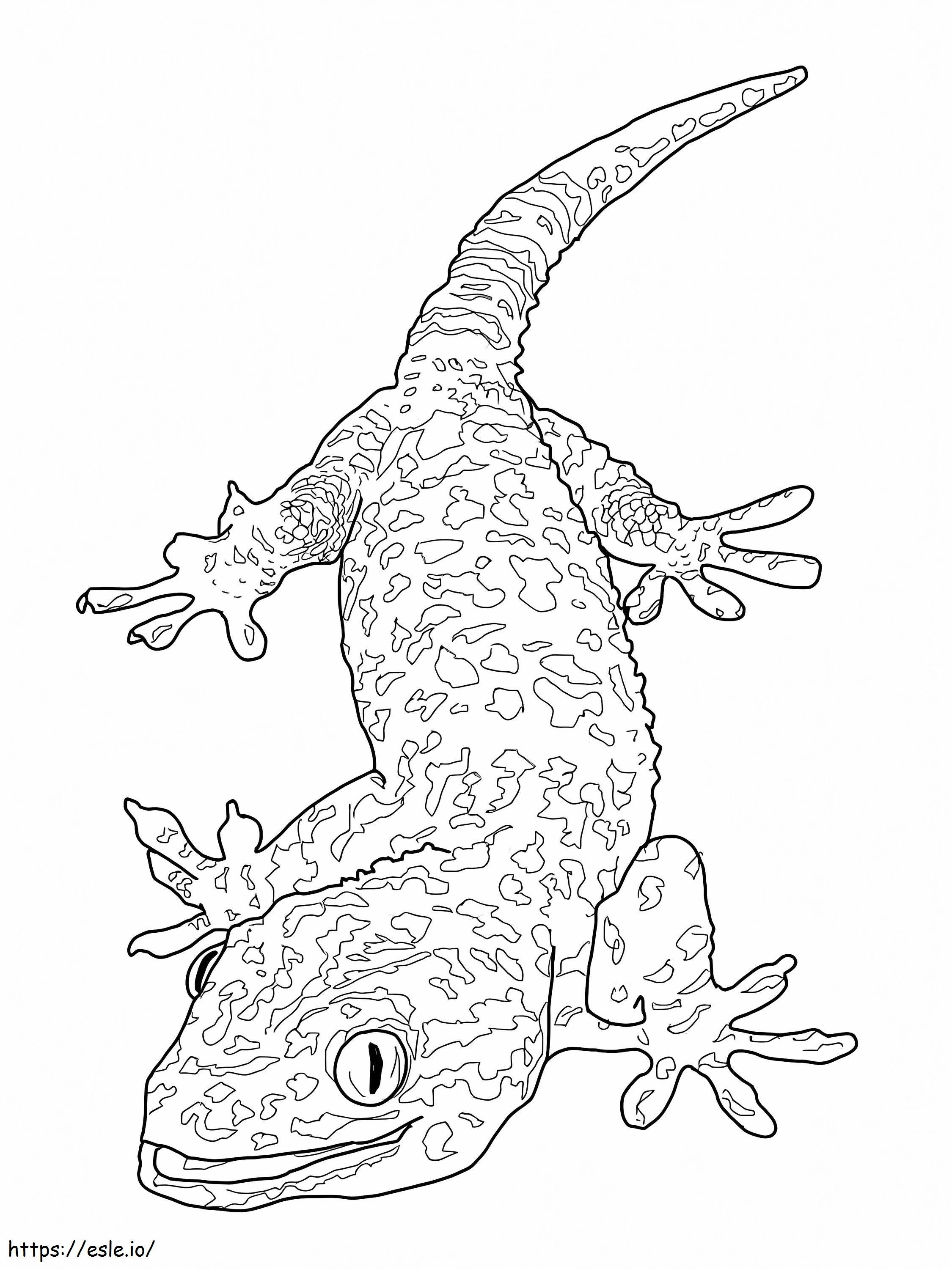Hard Lizard coloring page