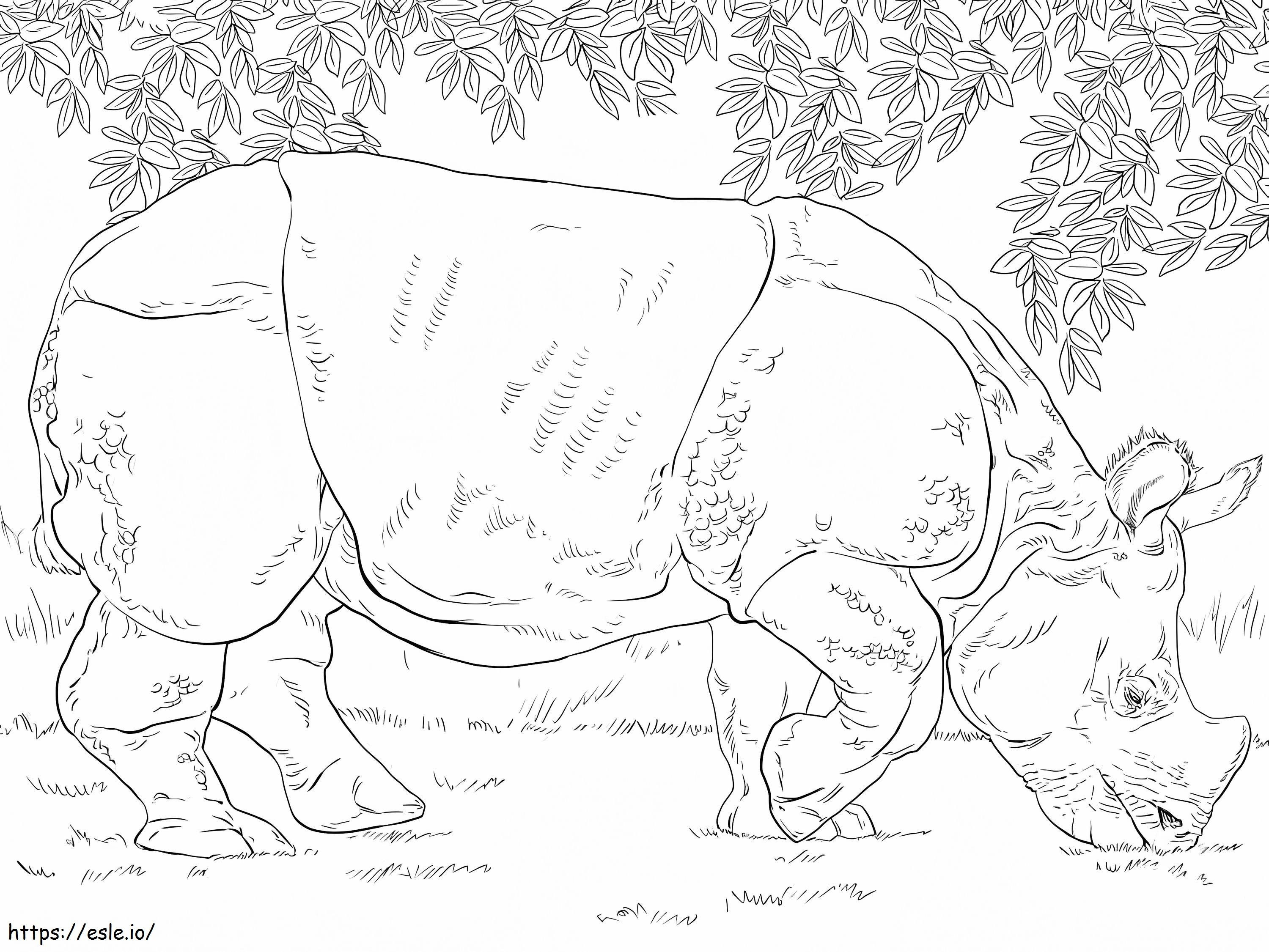 Coloriage Pâturage rhinocéros indien à imprimer dessin