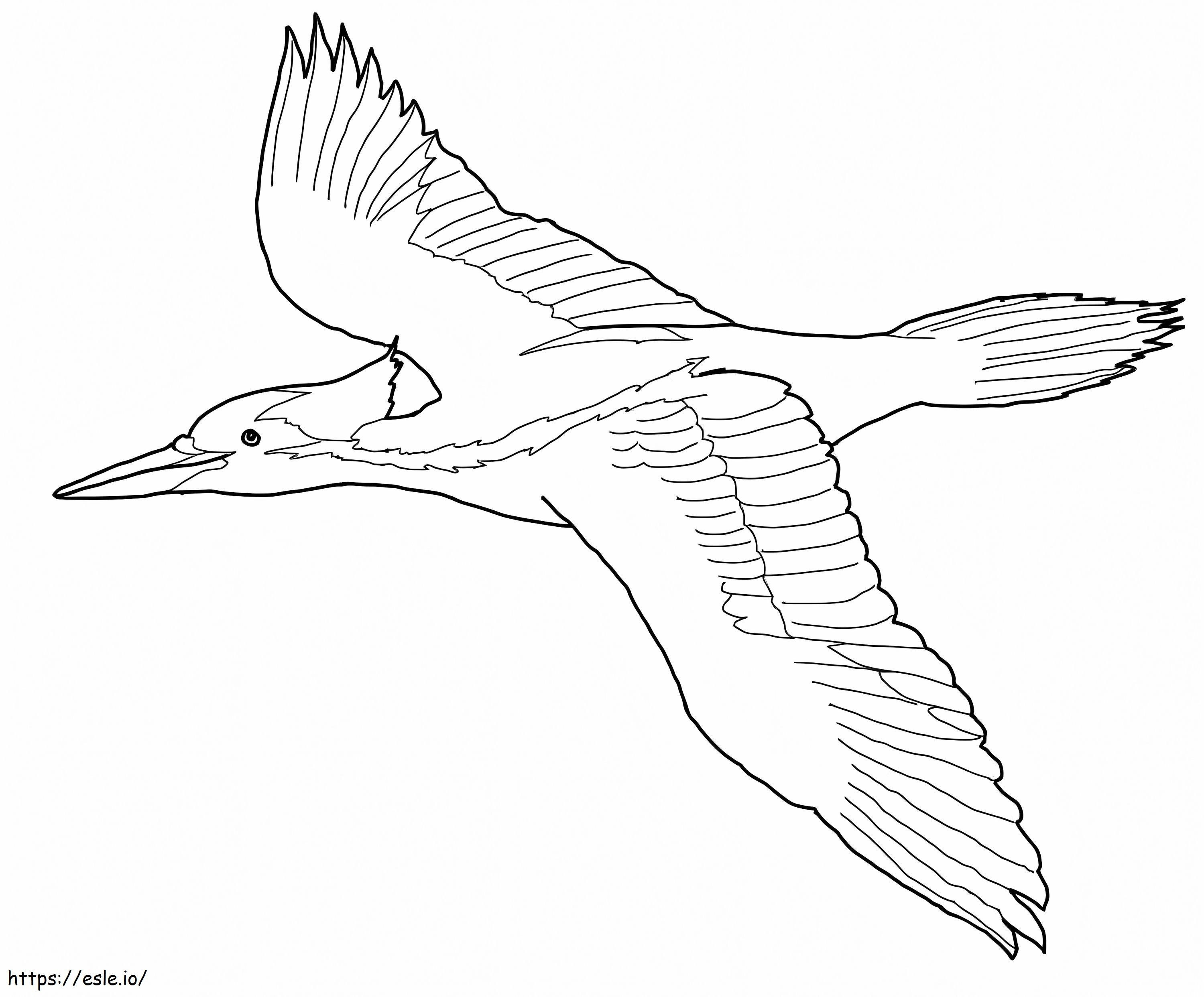 Ivory Billed Woodpecker Flying coloring page