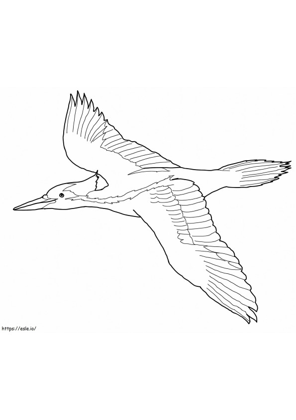 Ivory Billed Woodpecker Flying coloring page