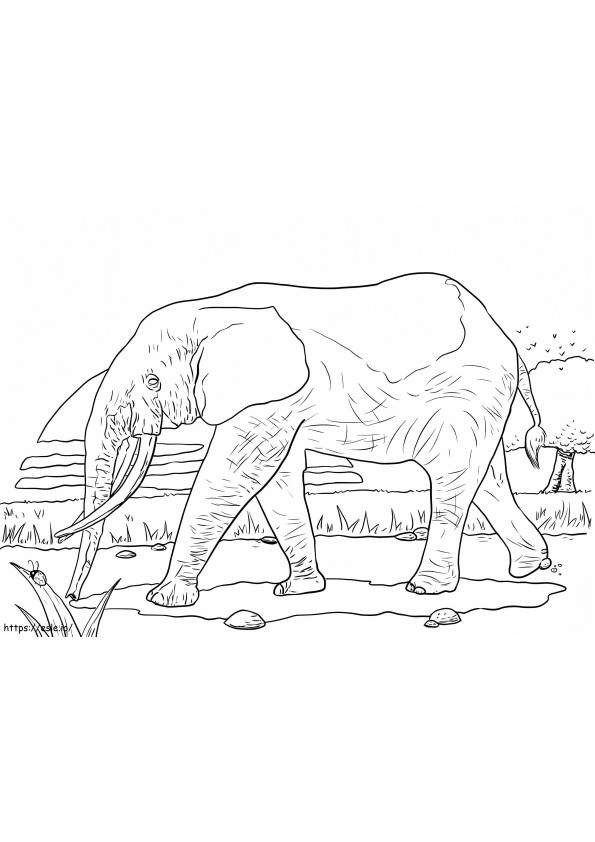 Coloriage Éléphant de forêt d'Afrique à imprimer dessin