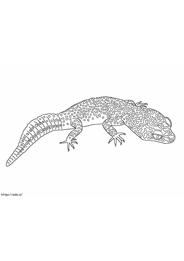 Gecko leopardo para colorear
