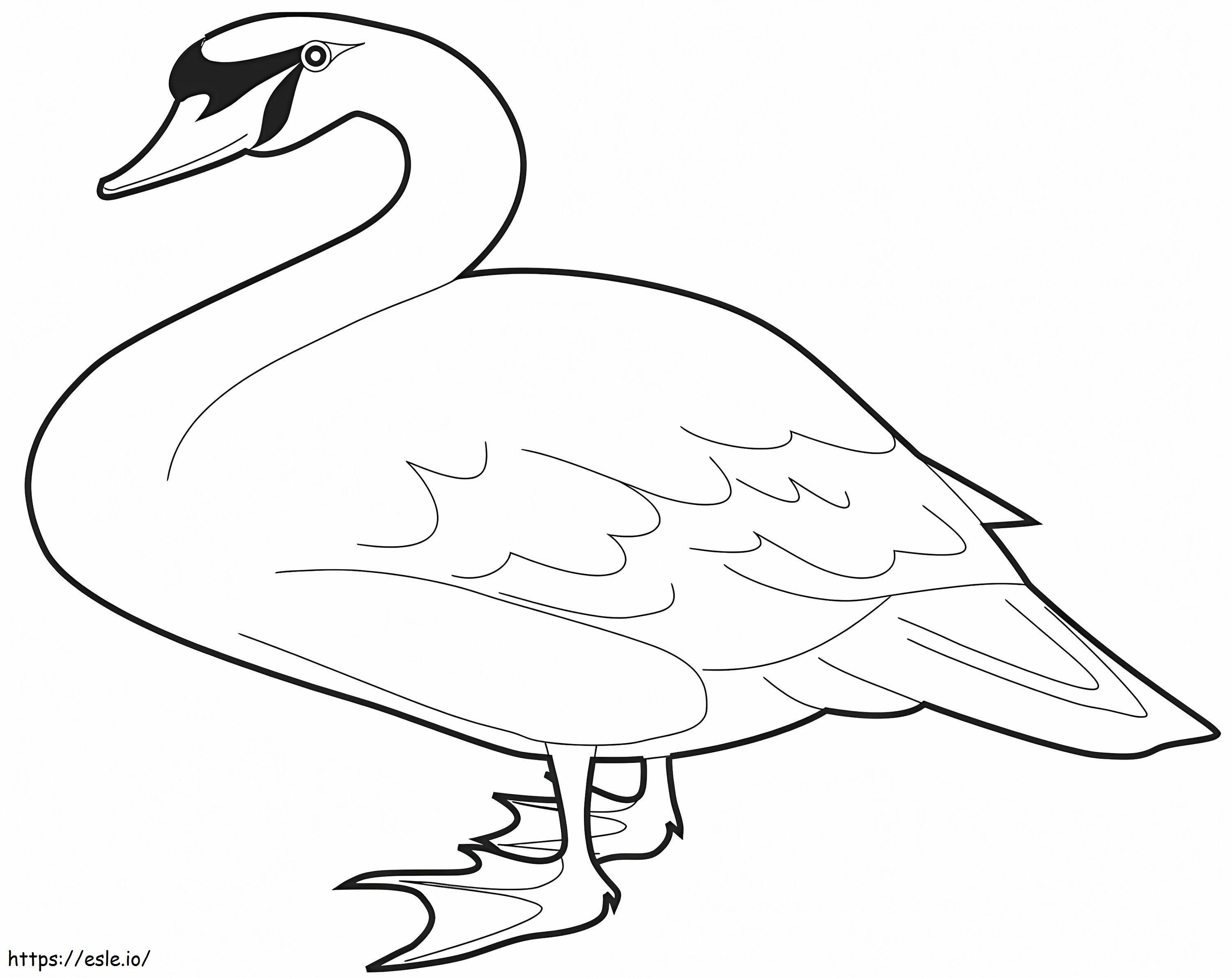 Swan A4 coloring page