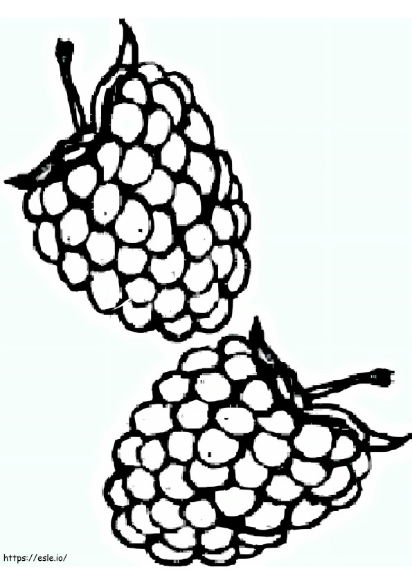 ブラックベリーの描画