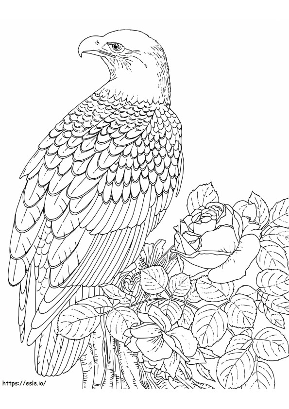 Coloriage Aigle avec rose et feuilles à imprimer dessin