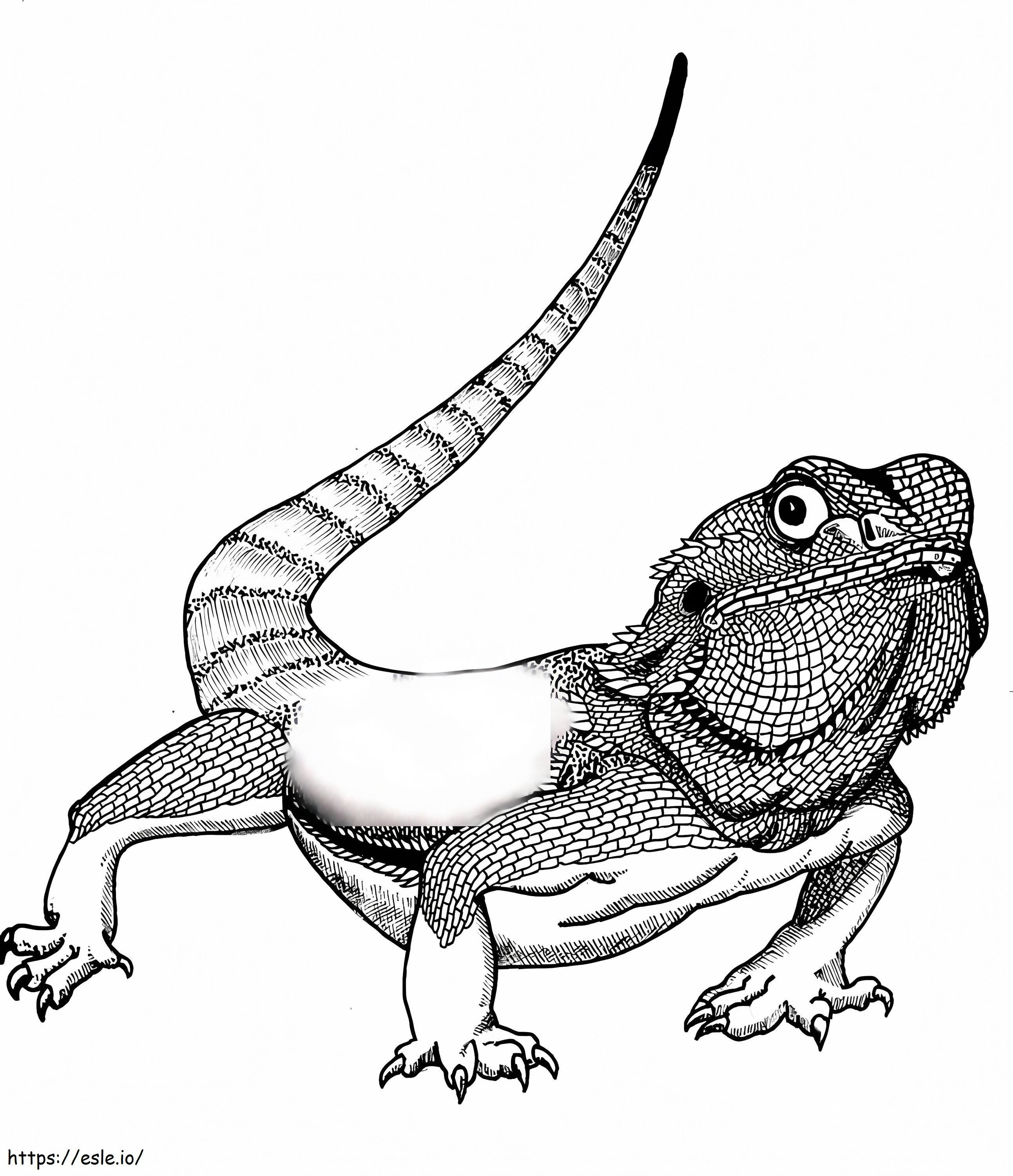 Realistic Bearded Dragon coloring page