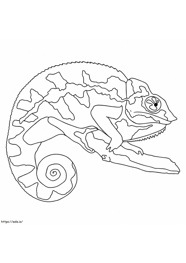 Perfect Chameleon coloring page